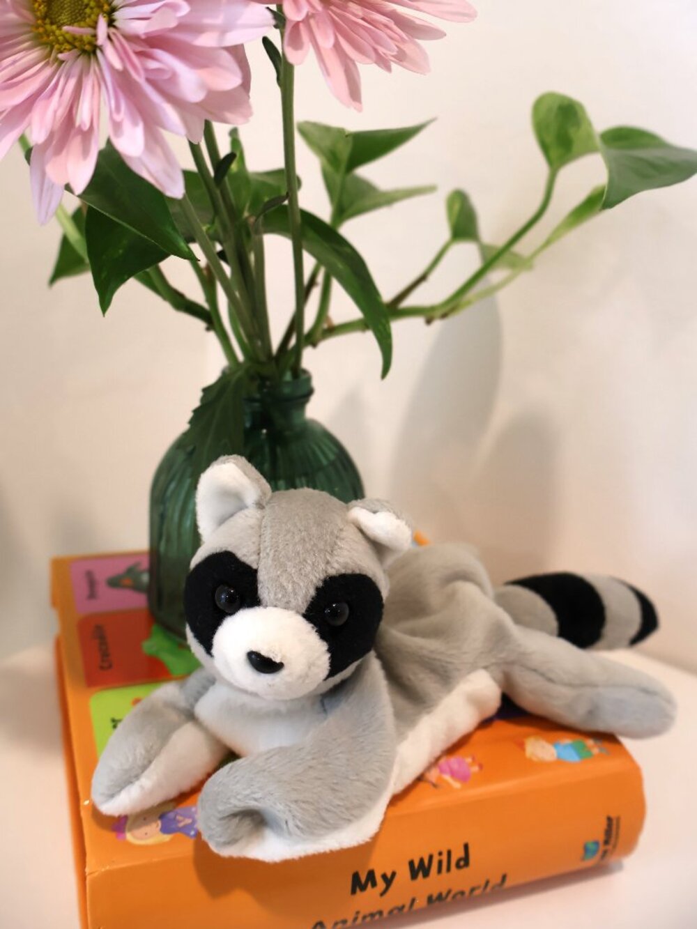 2004 Zageen Huggable Honeys Raccoon Beanie Bag Plush
